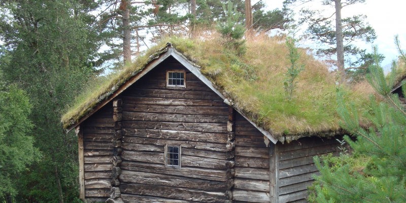 Katusekalle